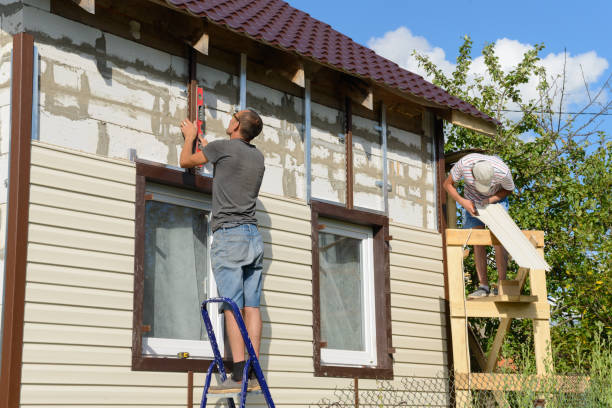 Best Vinyl Siding Installation  in Farmer City, IL