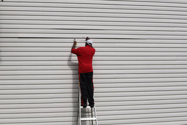 Best Siding Painting and Refinishing  in Farmer City, IL